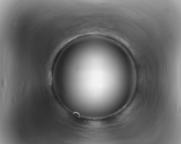 X0000089891509200707051219