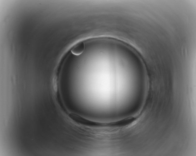 X0000089891510200707051219