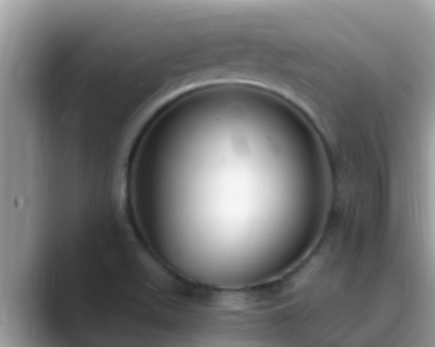 X0000089891511200707051219