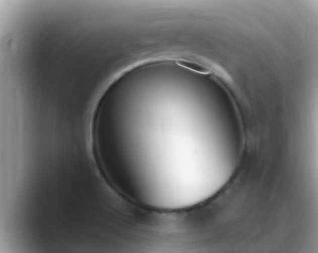 X0000089891512200707051219