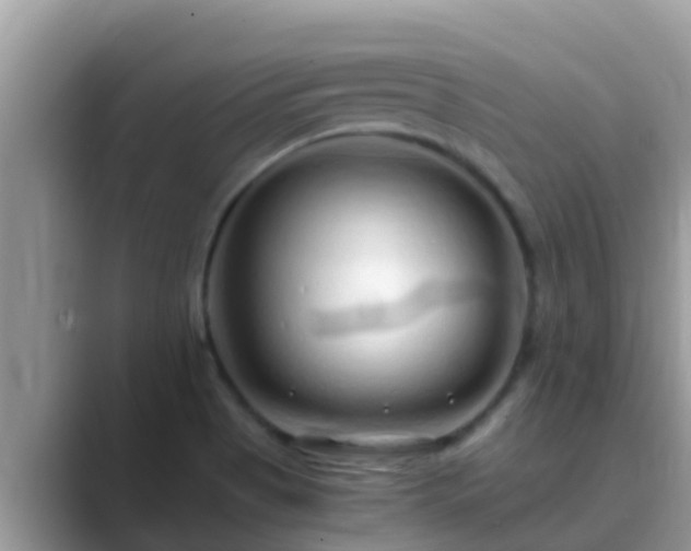 X0000089891513200707051219