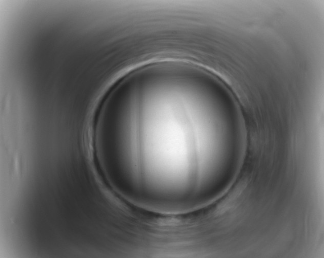 X0000089891515200707051219