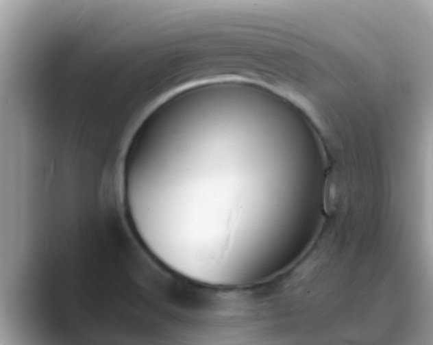 X0000089891516200707051219