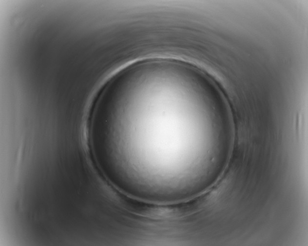 X0000089891517200707051219