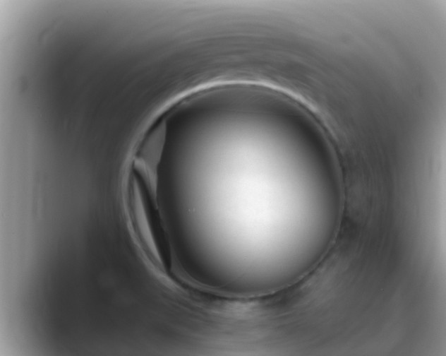 X0000089891519200707051219