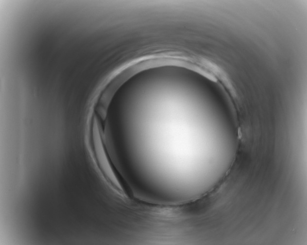X0000089891520200707051219