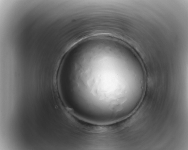 X0000089891521200707051219