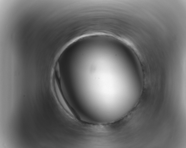 X0000089891524200707051219