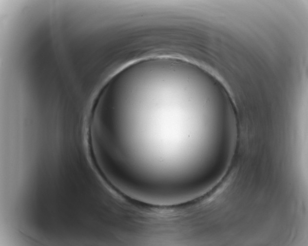 X0000089891525200707051219