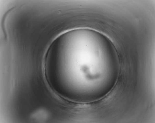 X0000089891526200707051219