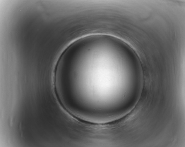 X0000089891527200707051219