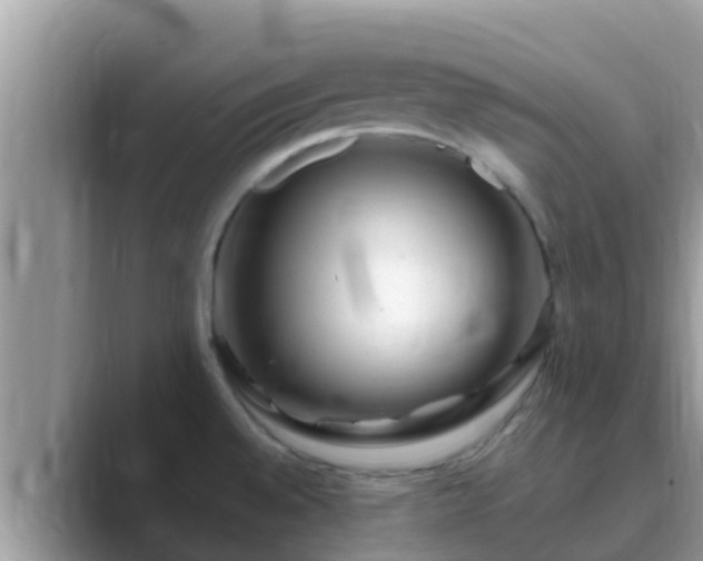 X0000089891528200707051219