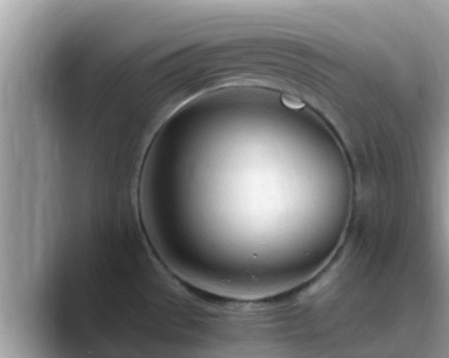 X0000089891529200707051219