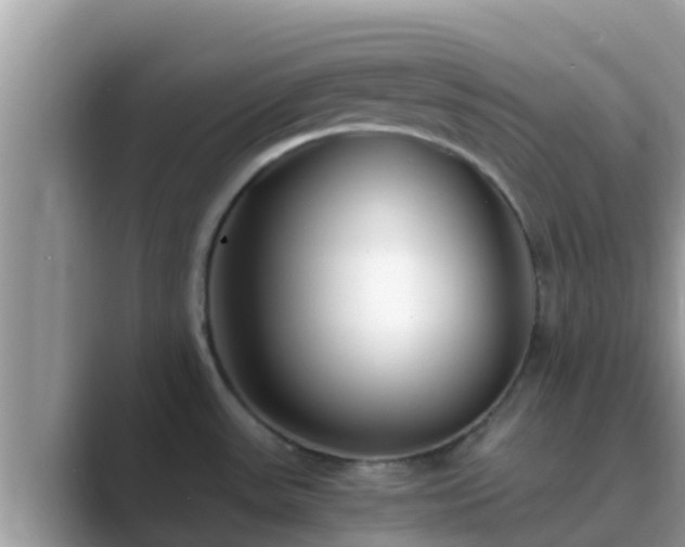 X0000089891531200707051219
