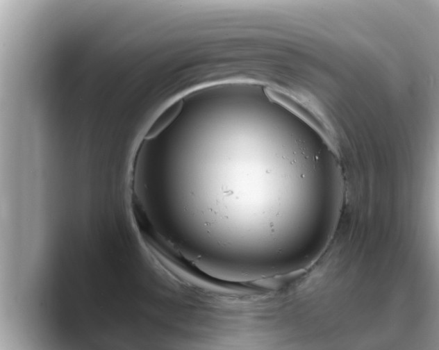 X0000089891532200707051219
