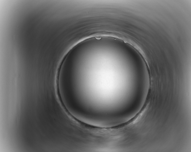 X0000089891533200707051219
