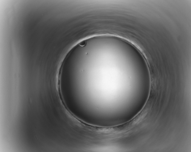 X0000089891535200707051219