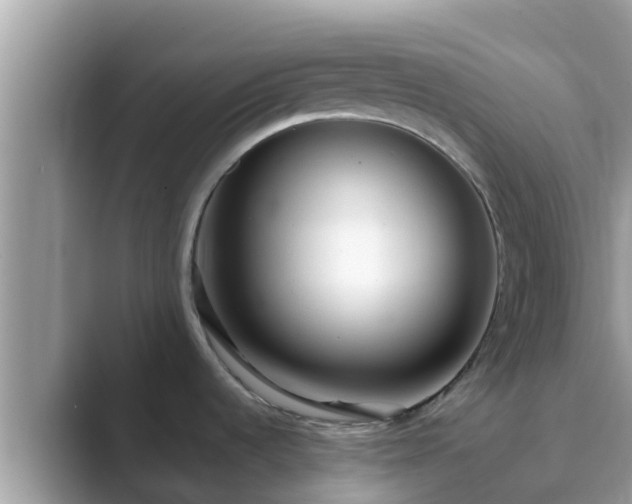 X0000089891536200707051219