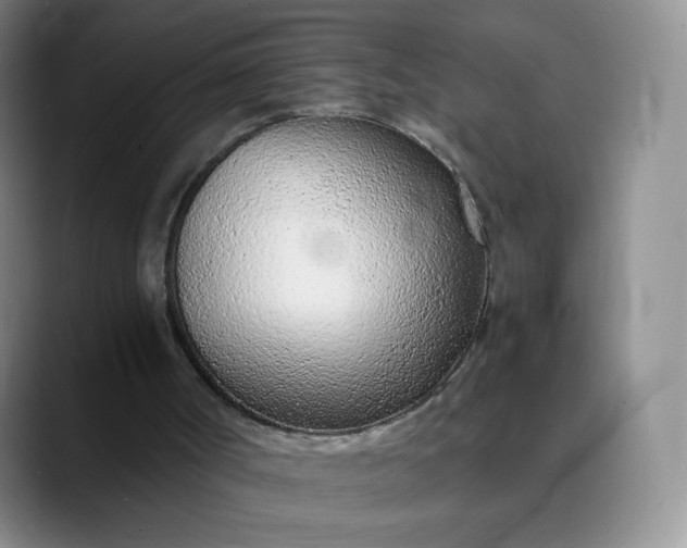 X0000089890002200707121839