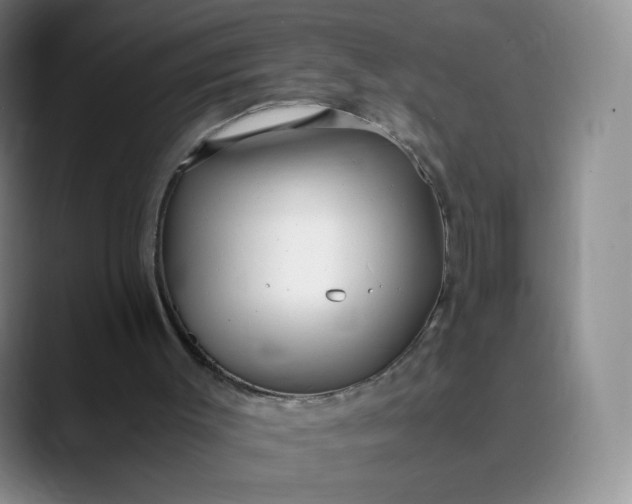 X0000089890003200707121839