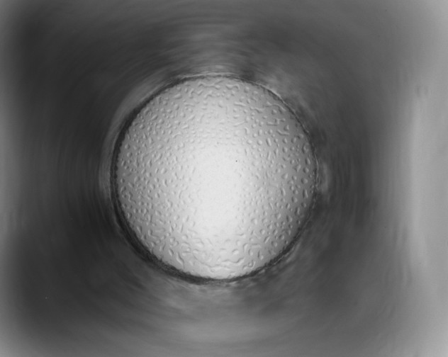 X0000089890004200707121839