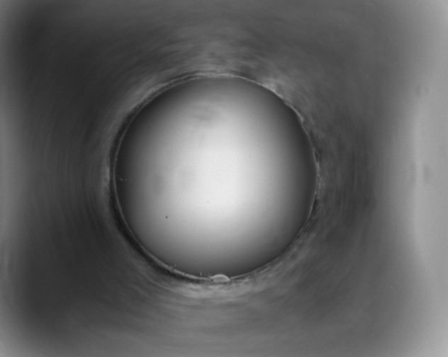 X0000089890005200707121839