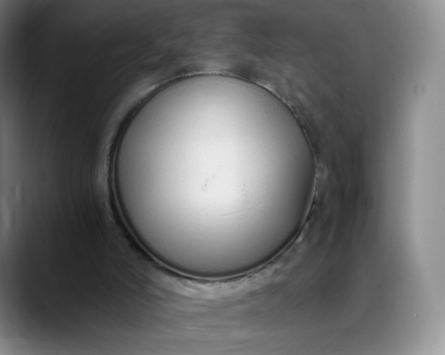 X0000089890006200707121839