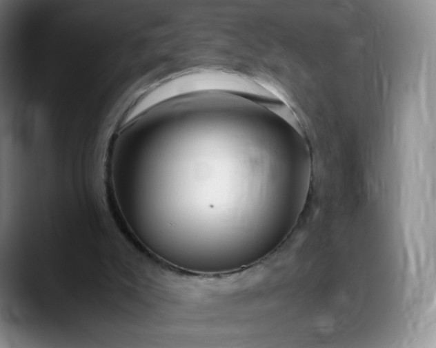 X0000089890007200707121839