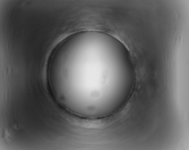 X0000089890008200707121839