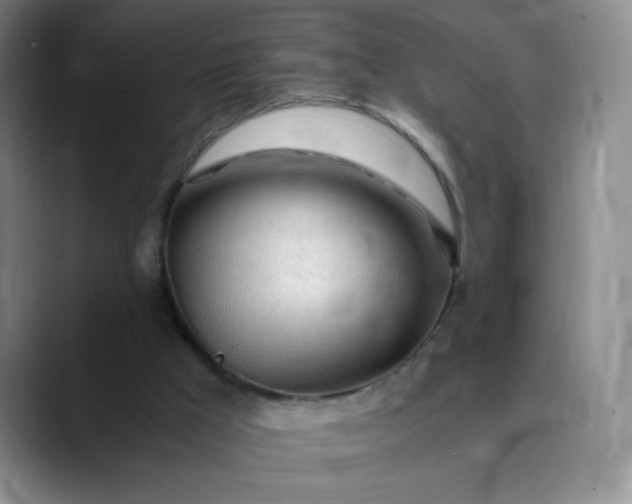 X0000089890009200707121839