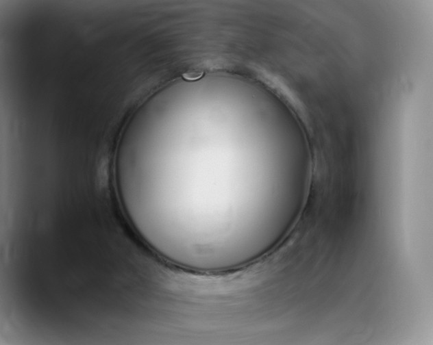 X0000089890010200707121839