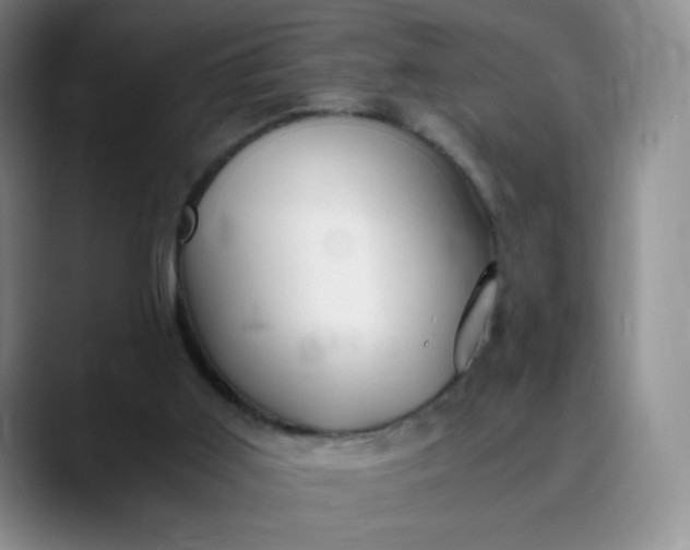 X0000089890011200707121839