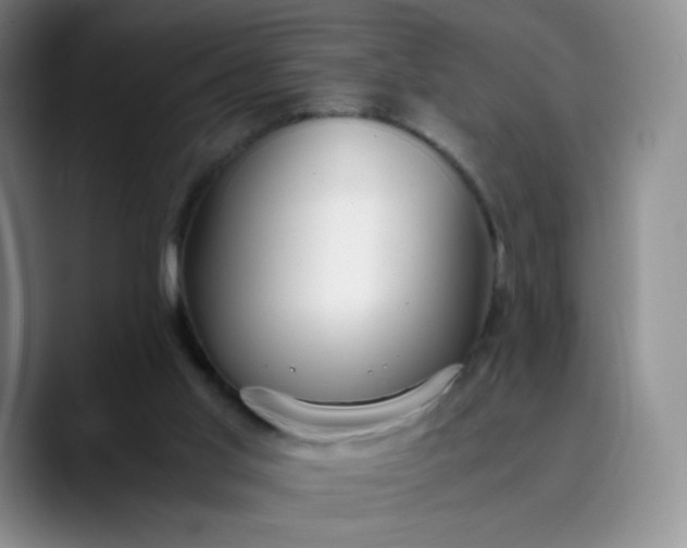 X0000089890013200707121839