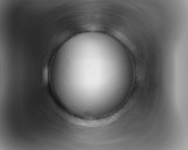 X0000089890014200707121839