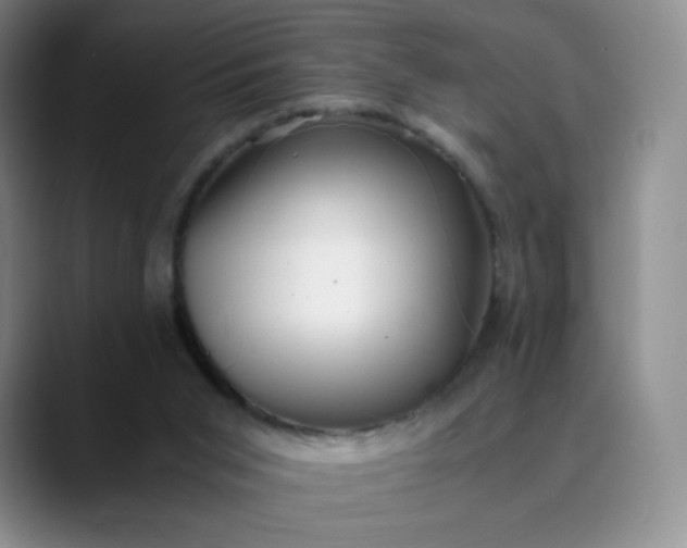 X0000089890015200707121839