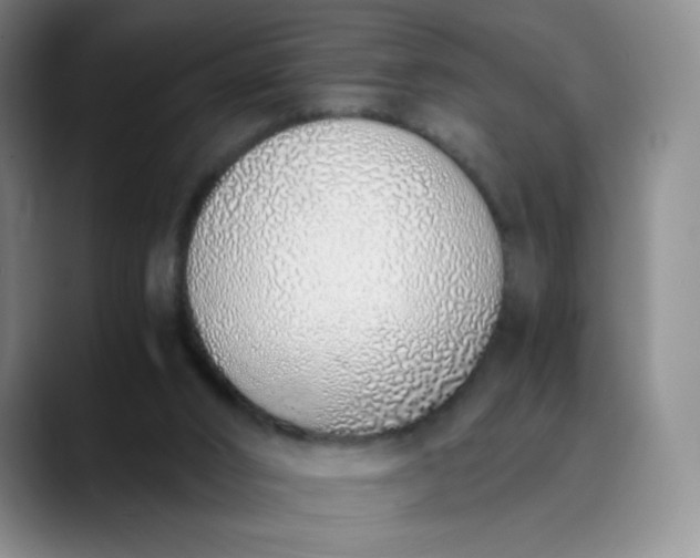 X0000089890016200707121839