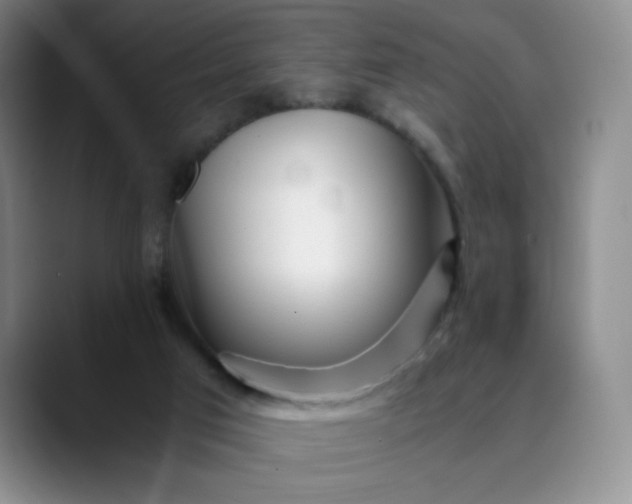 X0000089890017200707121839