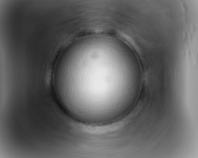 X0000089890018200707121839