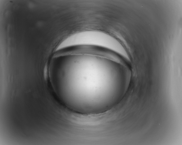 X0000089890019200707121839