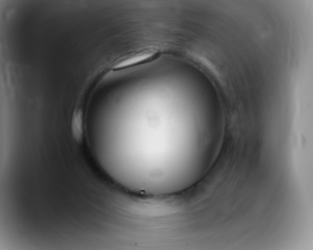 X0000089890020200707121839