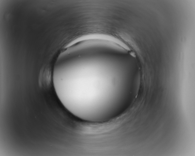 X0000089890021200707121839