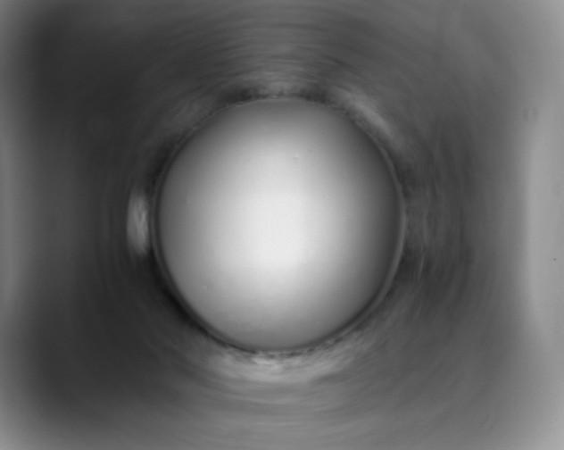 X0000089890022200707121839