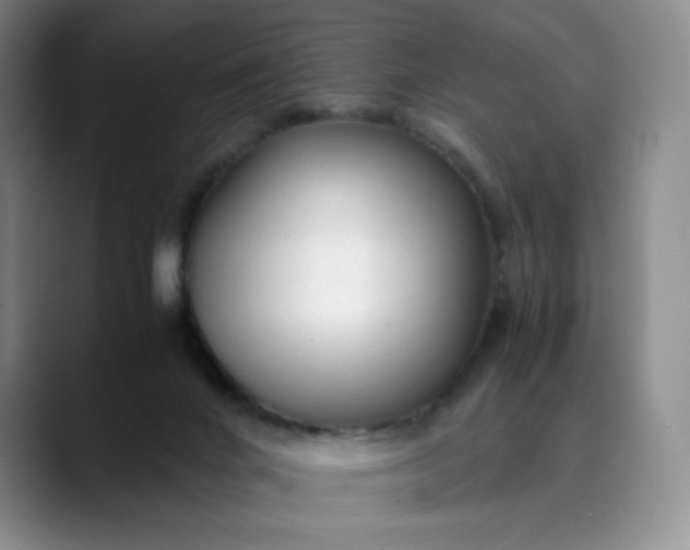 X0000089890024200707121839