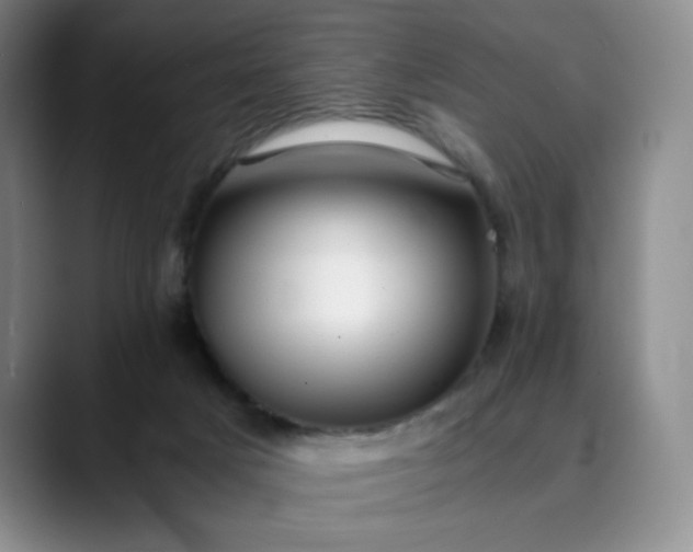 X0000089890025200707121839