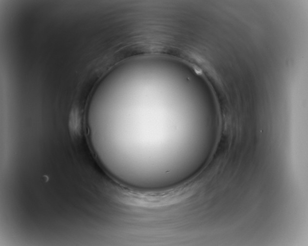 X0000089890026200707121839