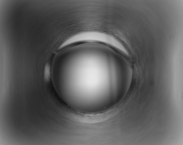 X0000089890027200707121839