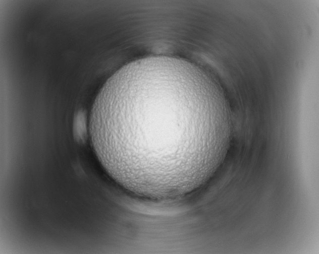 X0000089890028200707121839