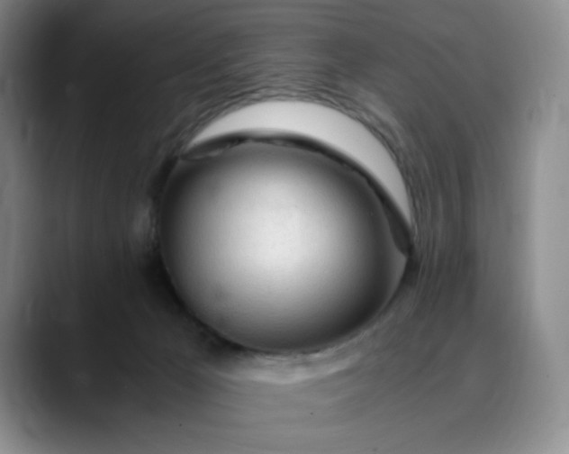 X0000089890029200707121839