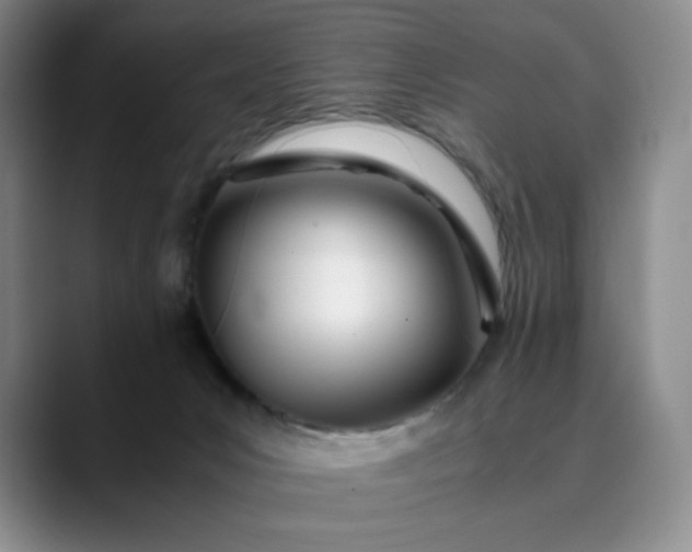 X0000089890031200707121839