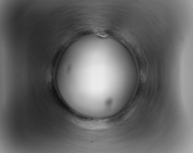 X0000089890032200707121839